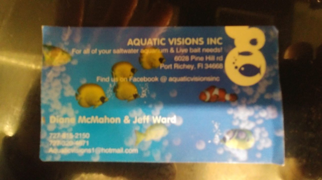 shrimp card Fish On Club